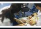Ręczna ultradźwiękowa maszyna kardiologiczna Bezprzewodowa sonda ultradźwiękowa Dostępne dla człowieka lub weterynarza